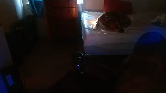 DADDY KANE8--- online show from January 17, 9:29 pm