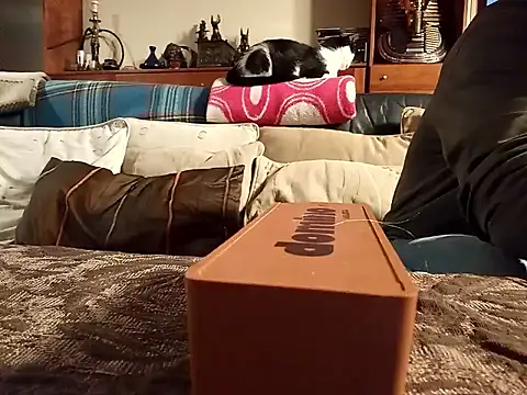 coolkasal online show from April 17, 7:38 pm