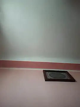 Combined Camp online show from January 9, 2:13 pm