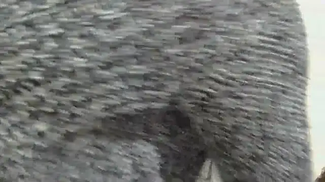 sluttylaura21 online show from December 4, 11:48 pm