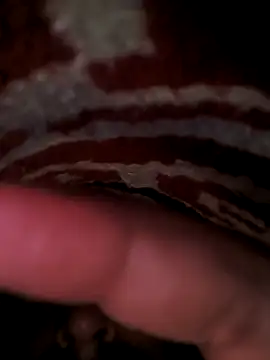 rajstrip12650 online show from March 3, 12:45 am