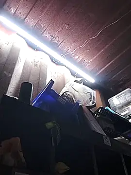 rajstrip12650 online show from December 18, 9:25 am