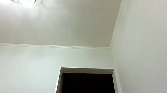 ArtAlina77 online show from December 22, 5:10 pm