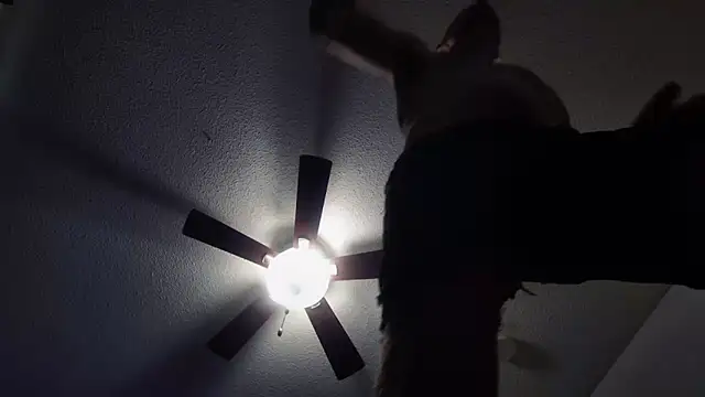 BDDuncanAbaddon online show from October 19, 4:21 pm