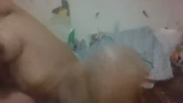 paradisejas online show from March 12, 2:54 pm