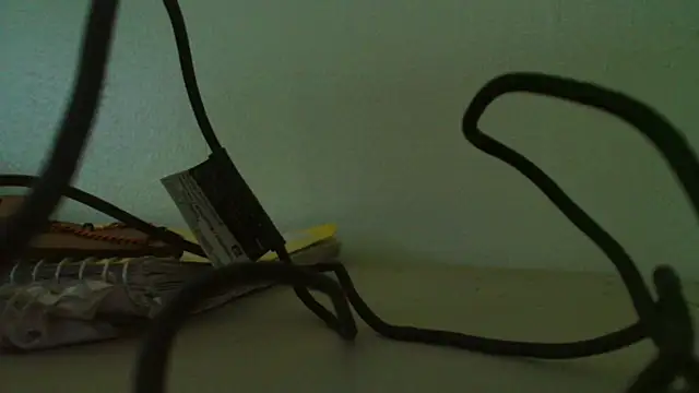 brdot  online show from April 8, 12:06 pm