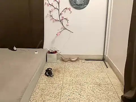 shanayaaa 1 online show from March 8, 2:04 am