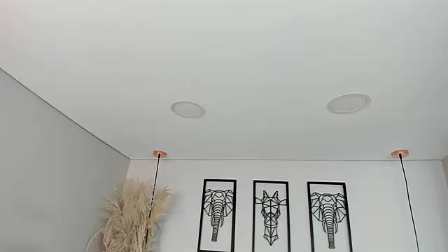 Rebeca jones online show from November 15, 12:09 pm