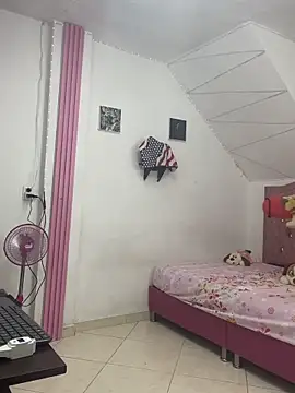 Rossestoner online show from February 27, 1:17 am