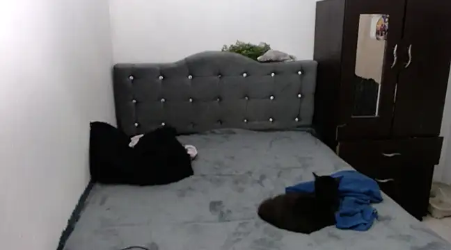 Snapshot of xx_nath_xx chatting on December 6, 2:40 am xx nath xx online show from December 6, 2:40 am