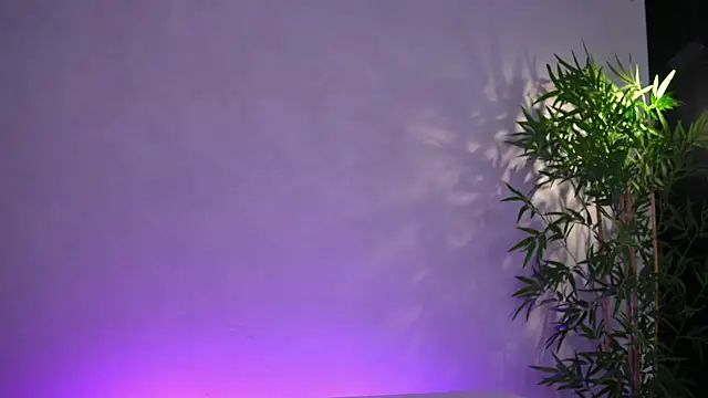 ArtTeasee online show from March 30, 5:20 am