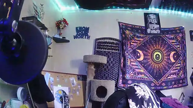 spunlikecottoncandy online show from March 31, 8:00 pm