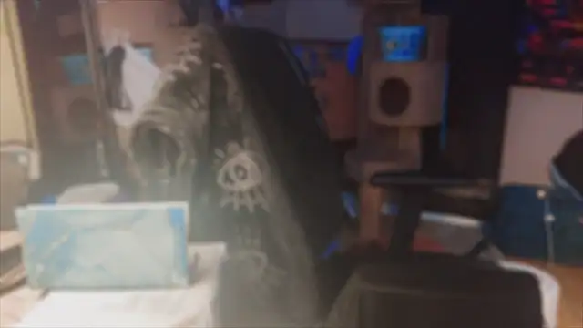 spunlikecottoncandy online show from November 17, 10:52 am