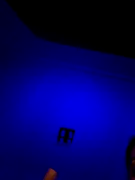 moniqque online show from December 3, 7:35 pm