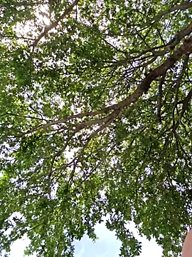 SkyelarSommer online show from April 13, 7:07 pm