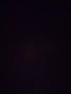 LissaThompsom online show from December 22, 12:27 pm