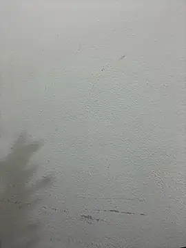 Snapshot of croftsmila chatting on December 19, 11:29 pm croftsmila online show from December 19, 11:29 pm