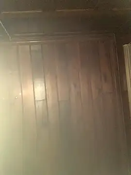 Mesonic Empire online show from December 22, 5:07 am