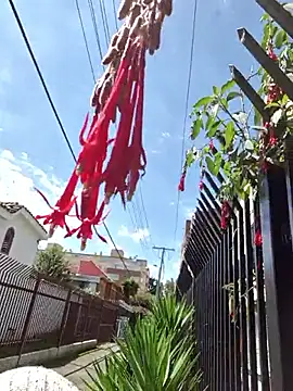 Sam Sara online show from January 9, 6:15 pm