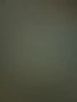 Sam Sara online show from February 19, 7:00 pm