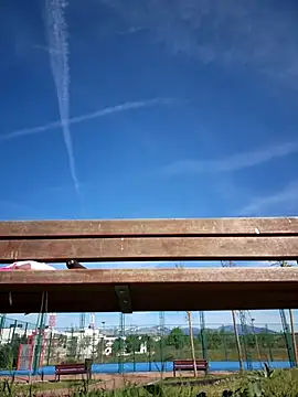 bellapaty online show from April 17, 8:50 am