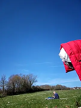 bellapaty online show from March 17, 12:52 pm