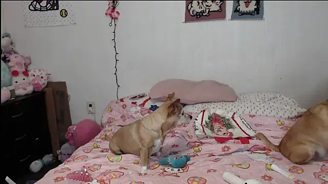 Cupcakecutie449 online show from March 26, 3:38 am