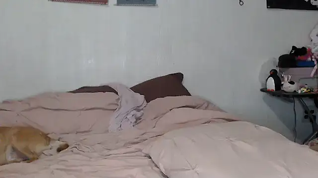 Cupcakecutie449 online show from November 9, 8:07 am