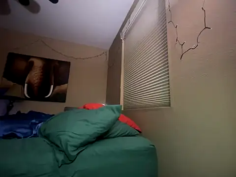 Bwcjoshbanks online show from November 28, 6:24 am