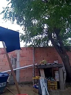 magrinhosafadao online show from October 28, 8:46 am