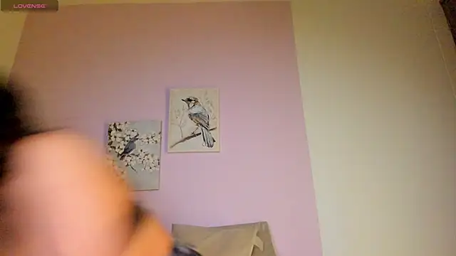 Mhia palmer online show from February 1, 11:19 am