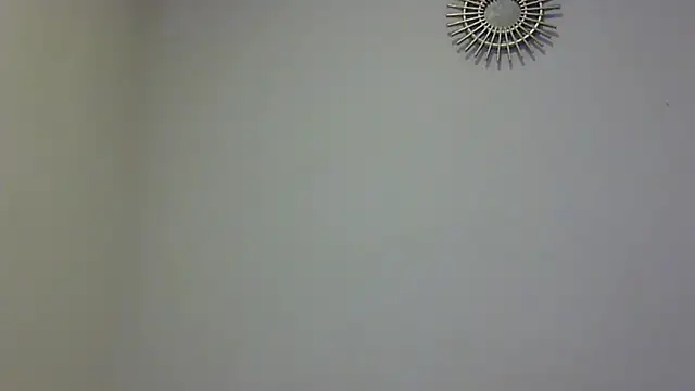 feline27 online show from November 11, 8:47 pm