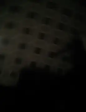 deshifuckers online show from January 9, 2:22 am