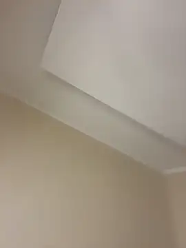 AnnGilbert online show from November 9, 10:25 pm