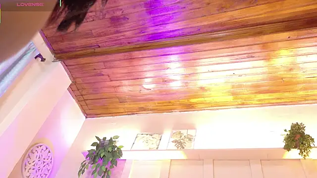 sofiaa ebony online show from October 31, 1:30 pm