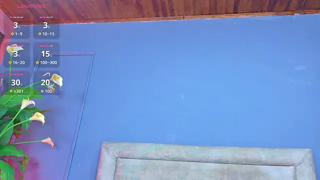 sofiaa ebony online show from December 18, 1:15 pm