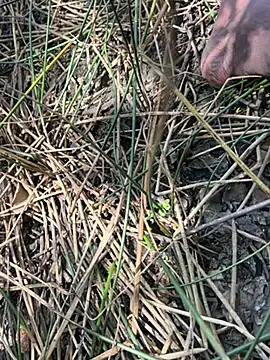 Yurt000 online show from September 23, 5:36 am