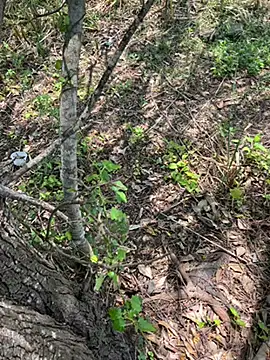 Yurt000 online show from September 10, 5:28 am