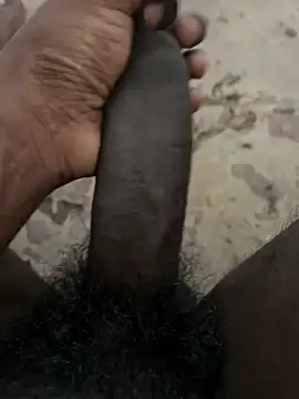 Yurt000 online show from January 29, 9:44 am