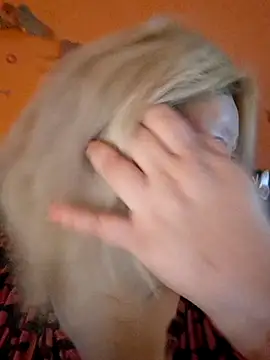 ducicsajsziii online show from November 22, 9:30 am