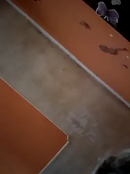 ducicsajsziii online show from November 29, 2:17 pm