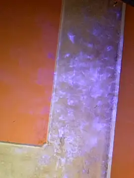 ducicsajsziii online show from March 7, 8:33 pm