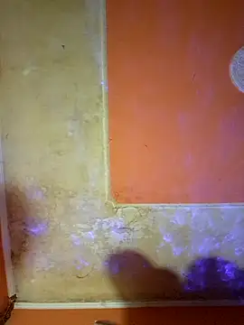 ducicsajsziii online show from March 15, 1:29 pm