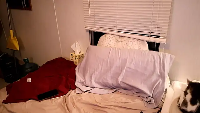 xxpixeyxx online show from November 13, 9:46 am