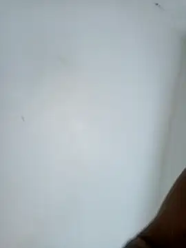 casal7722 online show from February 10, 3:00 pm