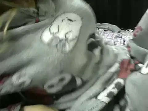 Paulita x3 online show from September 11, 11:54 am