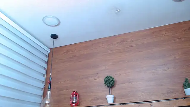 alex 477 online show from February 11, 11:32 am