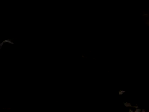 Snapshot of Nawtyslaveteen chatting on November 24, 8:31 pm Nawtyslaveteen online show from November 24, 8:31 pm