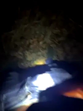 Germanboyy91 online show from December 22, 1:50 am