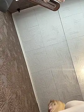 Snapshot of AmmyHot chatting on November 5, 4:04 am AmmyHot online show from November 5, 4:04 am